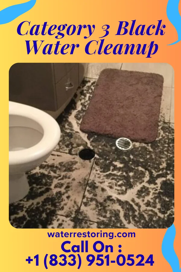 Category 3 Black Water Cleanup in Spencer, TN