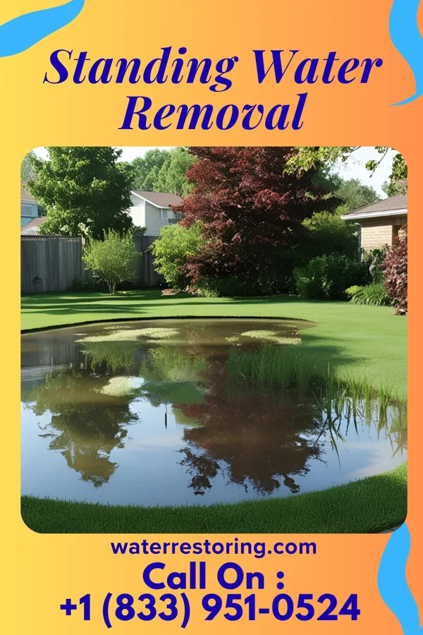 Standing Water Removal in Spencer, TN